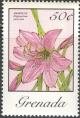 Colnect-2208-530-Hippeastrum-Puniceum.jpg