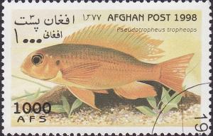 Colnect-1625-404-Cichlid-Pseudotropheus-tropheops.jpg