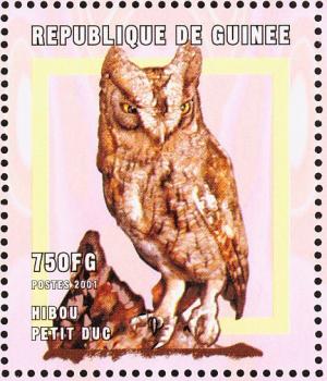 Colnect-868-384-African-Scops-Owl%C2%A0Otus-senegalensis.jpg