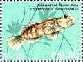 Colnect-4910-042-Pinkspotted-Shrimp-Goby-Cryptocentus-leptocephalus.jpg