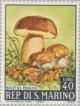 Colnect-171-556-Cep-Boletus-edulis.jpg