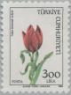 Colnect-2596-098-Tulip-Tulipa-Sintenesii.jpg