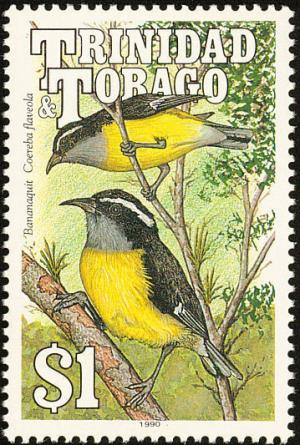 Colnect-744-220-Bananaquit-Coereba-flaveola.jpg
