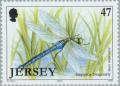 Colnect-127-991-Emperor-Dragonfly-Anax-imperator.jpg