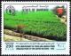 Colnect-1797-981-Agricultural-production-FAO-emblem.jpg