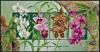 Colnect-4296-349-Orchids-Minisheet.jpg
