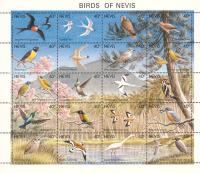Colnect-1646-408-Birds-of-Nevis-sheet.jpg