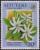 Colnect-3478-667-Tahiti-Gardenia-Gardenia-taitensis.jpg