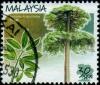 Colnect-1052-750-Malaysian-Trees--Alstonia-angustiloba.jpg