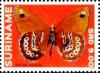 Colnect-3489-939-Lilac-Tree-Nymph-Sallya-amulia.jpg
