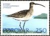 Colnect-3942-578-Whimbrel-Numenius-phaeopus.jpg