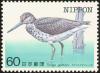 Colnect-608-843-Nordmann--s-Greenshank-Tringa-guttifera-.jpg