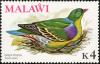 Colnect-864-259-African-Green-Pigeon-Treron-calva.jpg