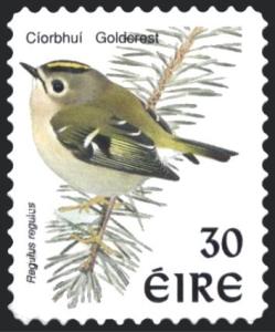 Colnect-1805-758-Goldcrest-Regulus-regulus.jpg