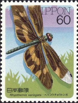 Colnect-2608-821-Common-Picture-Wing-Rhyothemis-variegata.jpg