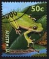 Colnect-1473-345-Northern-Dwarf-Tree-Frog-Litoria-bicolor.jpg