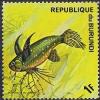 Colnect-1903-110-African-Butterfly-Fish-Pantodon-buchholzi.jpg