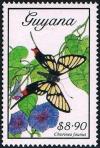 Colnect-2070-814-Butterfly-Chorinea-faunus.jpg
