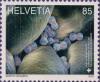 Colnect-6732-470-Forget-me-not-pollen.jpg