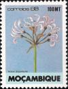 Colnect-1119-664-Nerine-angustifolia.jpg