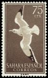 Colnect-1398-447-European-Herring-Gull-Larus-argentatus-.jpg