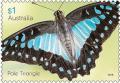 Colnect-3298-001-The-Pale-Triangle-Graphium-eurypylus.jpg