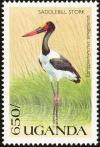 Colnect-1715-773-Saddle-billed-Stork-Ephippiorhynchus-senegalensis.jpg