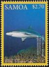 Colnect-3195-793-Grey-Reef-Shark-Carcharhinus-amblyrhinchos.jpg