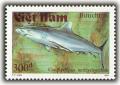 Colnect-1160-372-Grey-Reef-Shark-Carcharhinus-amblyrhynchos.jpg