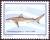 Colnect-2392-608-Dusky-Shark-Carcharhinus-obscurus.jpg