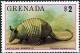 Colnect-5687-368-Nine-banded-Armadillo-Dasypus-novemcinctus.jpg