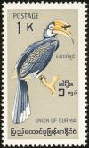Colnect-1503-870-Malabar-Pied-Hornbill-Anthracoceros-coronatus.jpg