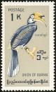 Colnect-1503-870-Malabar-Pied-Hornbill-Anthracoceros-coronatus.jpg