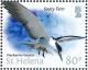 Colnect-4524-391-Sooty-Tern-Onychoprion-fuscatus.jpg