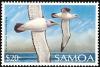 Colnect-1766-843-Shy-Albatross-Diomedea-cauta-nbsp-.jpg