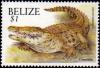 Colnect-2346-078-Morelett--s-Crocodile-Crocodylus-moreletii.jpg