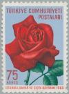 Colnect-2576-440-Roses-Rosa-hybr.jpg