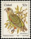 Colnect-2980-352-Cape-Parrot-Poicephalus-robustus.jpg
