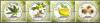 Colnect-4634-238-Plants-grown-for-Industrial-Use.jpg
