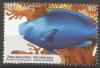 Colnect-5105-966-Blue-parrotfish-Scarus-coeruleus.jpg