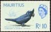 Colnect-734-487-Broad-billed-Parrot-Lophopsittacus-mauritianus.jpg
