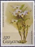 Colnect-4046-730-Dendrobium-melanodiscus.jpg