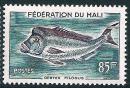 STS-Mali-1-300dpi.jpg-crop-497x338at1668-798.jpg