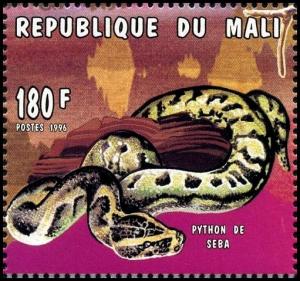 Colnect-2658-944-African-Rock-Python-Python-sebae.jpg