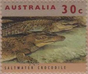 Colnect-4100-191-Saltwater-Crocodile-Crocodylus-porosus.jpg