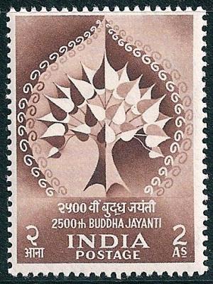 STS-India-6-300dpi.jpg-crop-368x491at1131-1152.jpg