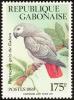 Colnect-1211-140-Grey-Parrot%C2%A0Psittacus-erithacus.jpg