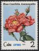 Colnect-852-891-Rosa-centifolia.jpg