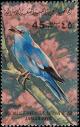 Colnect-1648-466-European-Roller-Coracias-garrulus.jpg