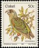 Colnect-2980-352-Cape-Parrot-Poicephalus-robustus.jpg